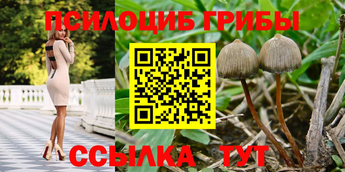 Псилоцибиновые грибы ЛСД Ухта